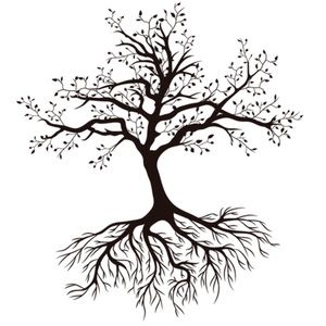 Meet your Posher, Alberto